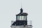 fayreweather_island_black_rock_harbor_ct_dsc025592_small.jpg