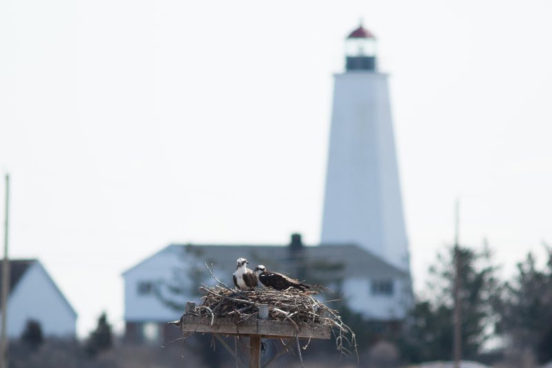 lynde_point_(saybrook_inner)_ct_dsc03567 lynde_point_saybrook_inner_ct_dsc03567.jpg