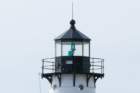 warwick_ri_dsc03459_small.jpg
