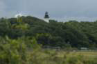 ameliaislandfldsc03666_small.jpg