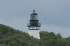 ameliaislandfldsc03670_small.jpg