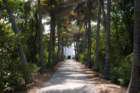 capefloridamiamifl01_small.jpg