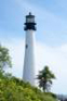 capefloridamiamifl04_small.jpg