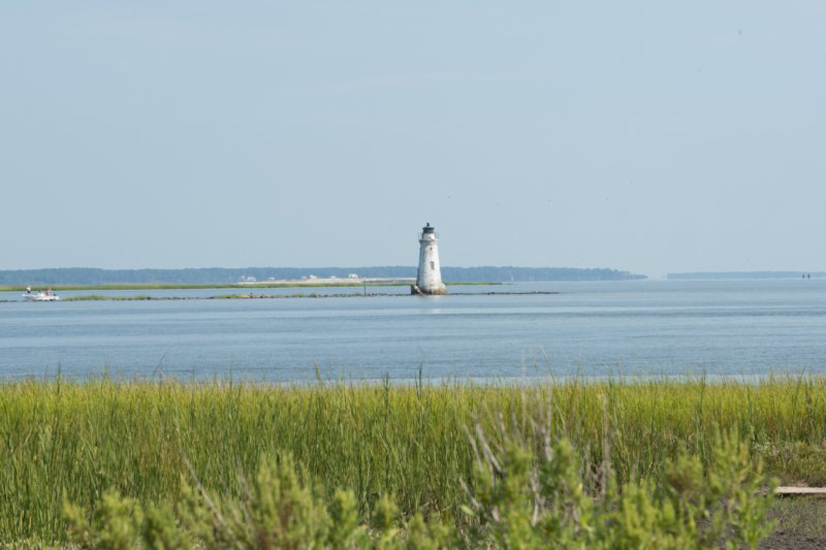 Cockspur Island GA - DSC04075 cockspurislandgadsc04075.jpg