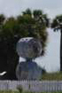 egmontkeyfl02_small.jpg