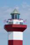 hiltonheadscdsc01031_small.jpg