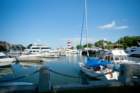 hiltonheadscdsc03148_small.jpg