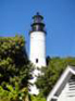 keywestfldsc00974_small.jpg